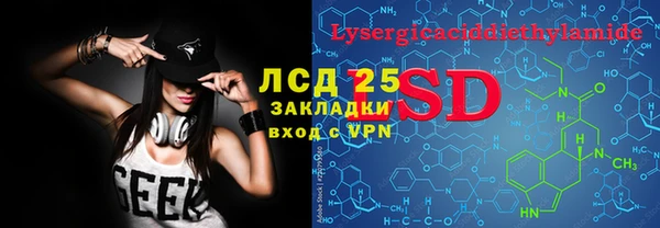 гашик Майский
