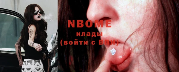 гашик Майский