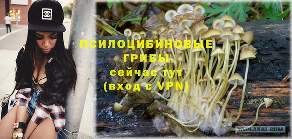 герыч Магас