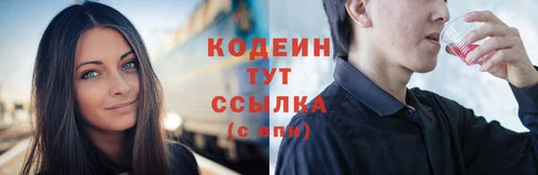 гашик Майский