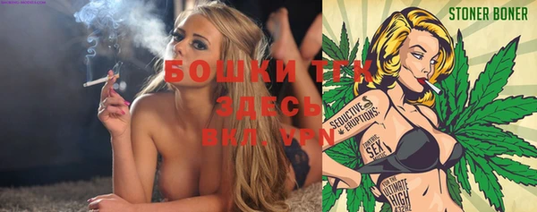 гашик Майский