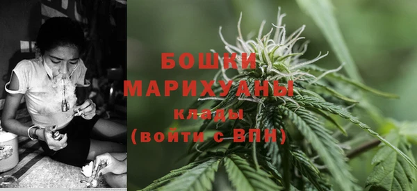 гашик Майский