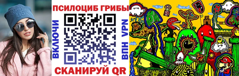 Псилоцибиновые грибы Psilocybine cubensis  Михайловка 