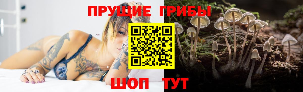 Псилоцибиновые грибы GOLDEN TEACHER Михайловка